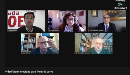 Imagen del encuentro telemático (PSOE) 