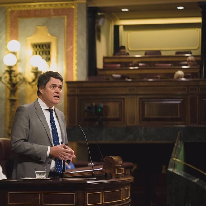 El diputado nacional del PP por la provincia de Granada Carlos Rojas - (PP)