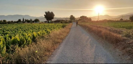 Uno de los límites del municipio de Cúllar Vega (AYTO. CÚLALR VEGA)