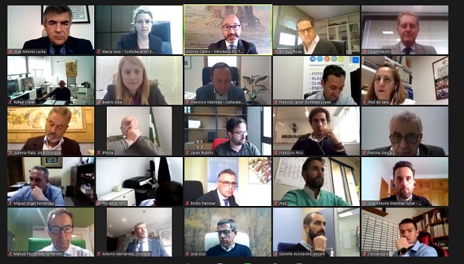 Imagen de la reunión telemática (CGE)