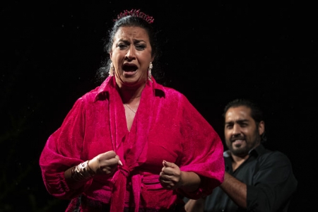 Imagen de una actuación flamenca (MILNOFF)