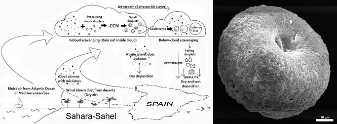 Secuencia de formación de los iberulitos en la atmósfera con implicación bacteriana (UGR)