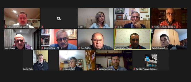 Imagen de la reunión telemática (PP)