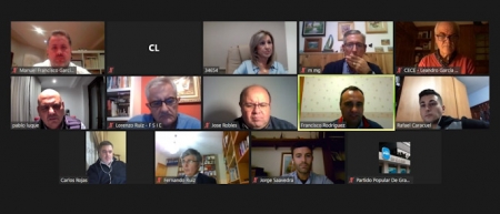 Imagen de la reunión telemática (PP)