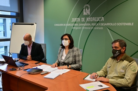 Reunión anual del Comité Asesor del Plan Infoca (JUNTA)