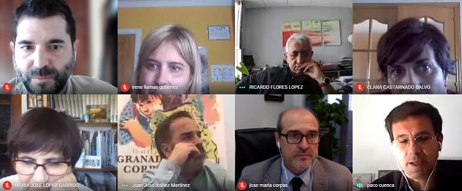 Imagen de la reunión telemática (CCOO)