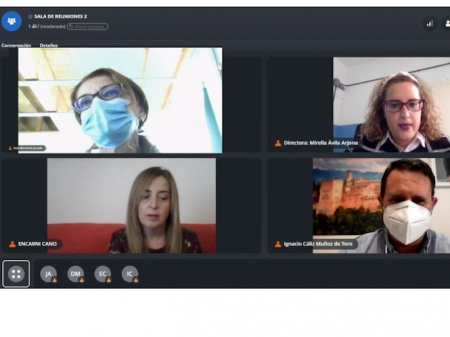 Imagen de la reunión telemática (JUNTA) Imagen de la reunión telemática (JUNTA)