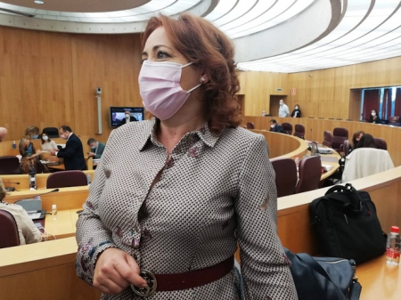 La Diputada Provincial de IU, Mari Carmen Pérez (IU) La Diputada Provincial de IU, Mari Carmen Pérez (IU)