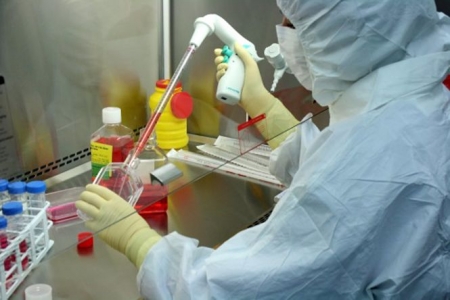 La investigación es fundamental en el abordaje de las enfermedades raras (JUNTA) 