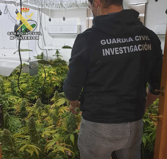 Un agente de la Guardia Civil junto a una de las plantaciones (GUARDIA CVIIL)