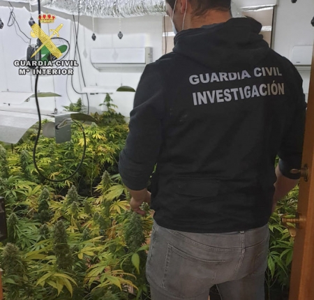 Un agente de la Guardia Civil junto a una de las plantaciones (GUARDIA CVIIL)