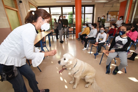 DIPUTACIÓN DE GRANADA DIPUTACIÓN DE GRANADA