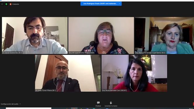 Imagen de las jornadas telemáticas (EASP)