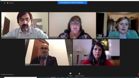 Imagen de las jornadas telemáticas (EASP)