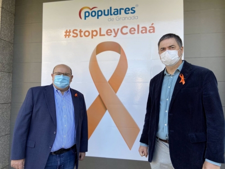 José Robles y Carlos Rojas, del PP, ante la sede provincial del partido (PP) 