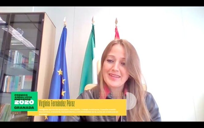 La Delegada de Empleo, Virginia Fernández durante la presentación telemática de lso premios (JUNTA)