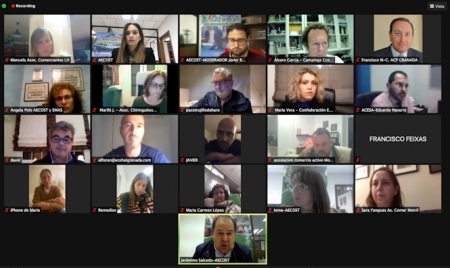 Imagen de la reunión telemática (AECOST)