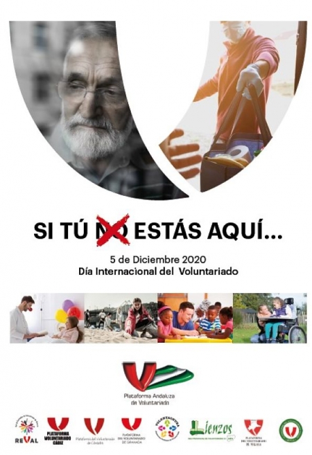Cartel del Día Internacional del Voluntariado (PLATAFORMA DEL VOLUNTARIADO) 