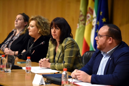 La Diputada de bienestar social, Olvido de la Rosa (J. GROSSO / DIPUTACIÓN)