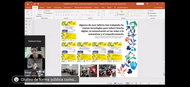 Imagen del encuentro online (FEDERACIÓN SULAYR)