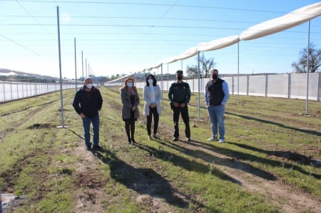 La Subdelegada del Gobierno ha visitado la zona donde irá el laboratorio invernadero (SUBDELEGACIÓN) La Subdelegada del Gobierno ha visitado la zona donde irá el laboratorio invernadero (SUBDELEGACIÓN)