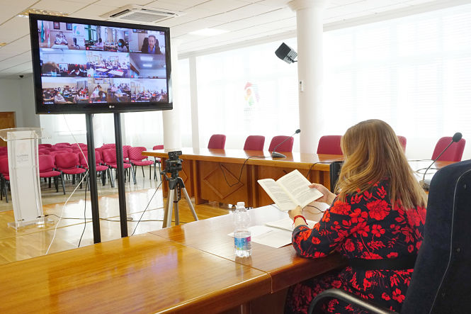Imagen de la charla telemática (AYTO. ARMILLA)