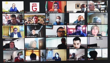 Imagen de la reunión telemática (DIPUTACIÓN ) 