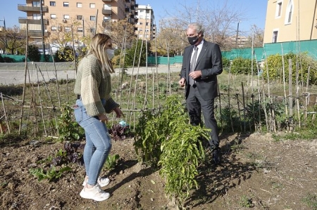 El Concejald e Derechos Sociales, José Antonio Huertas ha visitado uno de las huertos (AYTO. GRANADA) El Concejald e Derechos Sociales, José Antonio Huertas ha visitado uno de las huertos (AYTO. GRANADA)