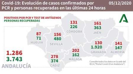 Evolución diaria de la pandemia en Andalucía (JUNTA DE ANDALUCÍA) 