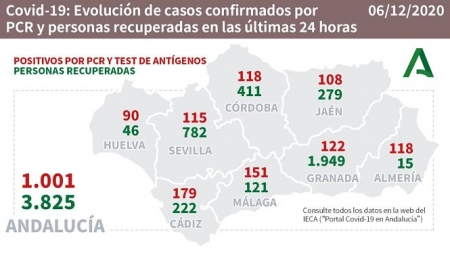 Evolución diaria de la pandemia en Andalucía (JUNTA DE ANDALUCÍA) 