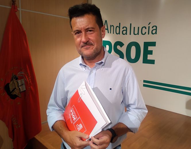Alejandro Zubeldia, senador del PSOE (PSOE)
