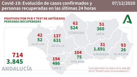 Evolución diaria de la pandemia en Andalucía (JUNTA DE ANDALUCÍA) 