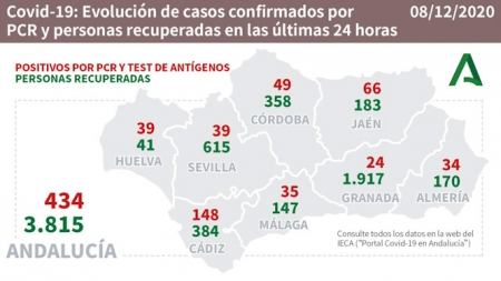 Evolución diaria de la pandemia en Andalucía (JUNTA DE ANDALUCÍA) 