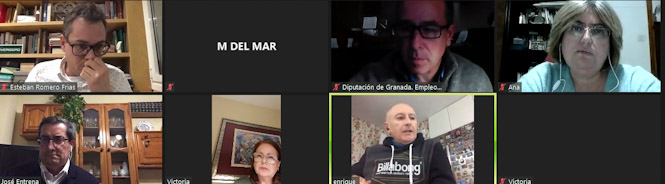 Imagen de la reunión telemática (DIPUTACIÓN)