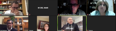 Imagen de la reunión telemática (DIPUTACIÓN) Imagen de la reunión telemática (DIPUTACIÓN)