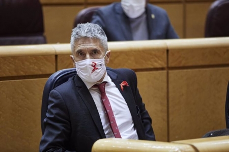 El ministro del Interior, Fernando Grande-Marlaska, en un Pleno del Senado (EUROPA PRESS/J. HELLÍN) 