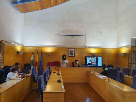 Reunión organizativa del II Plan de Igualdad (AYTO. GUADIX)