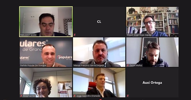 Imagen de la reunión telemática (PP) 