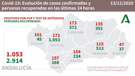 Evolución diaria de la pandemia en Andalucía (JUNTA DE ANDALUCÍA) 