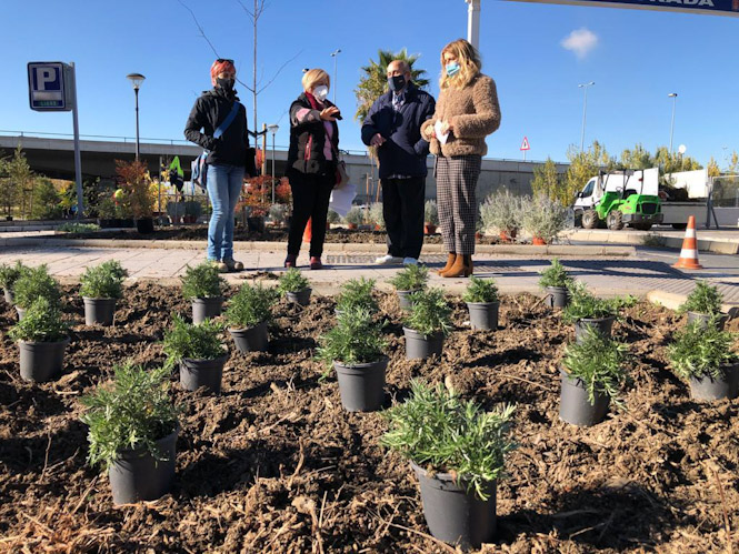 Ajardinamiento de zonas verdes en la capital (AYTO. GRANADA)