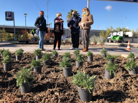 Ajardinamiento de zonas verdes en la capital (AYTO. GRANADA)