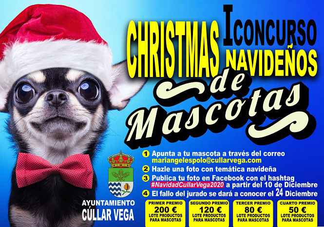 AYUNTAMIENTO CÚLLAR VEGA