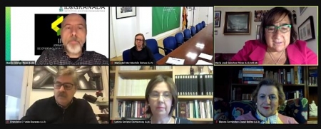 Imagen de las jornadas telemáticas (JUNTA)