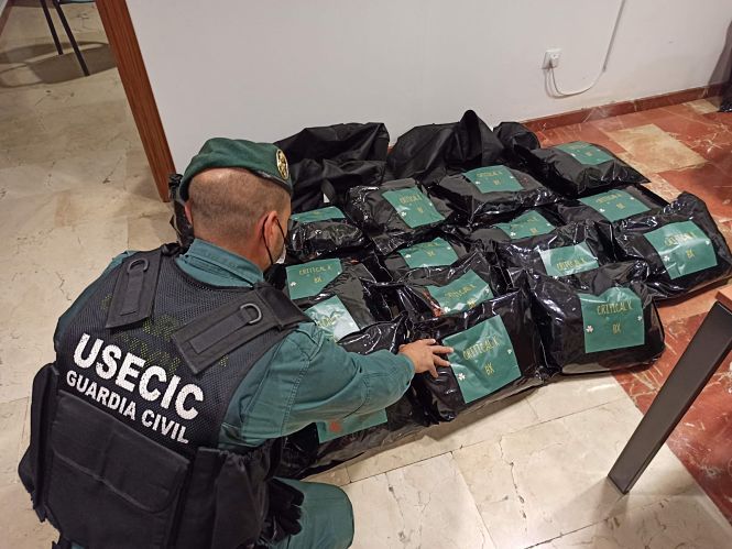 Un miembro de la USECIC junto a la marihuana (GUARDIA CIVIL)