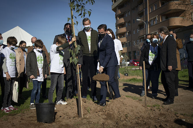 Inicio de la plantación de arbolado en el Anillo Verde (AYTO. GRANADA)