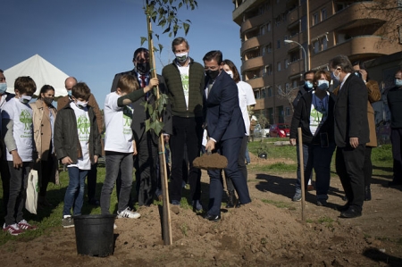 Inicio de la plantación de arbolado en el Anillo Verde (AYTO. GRANADA)