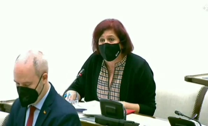 La Diputada Nacional del PSOE, Elvira Ramón (PSOE)