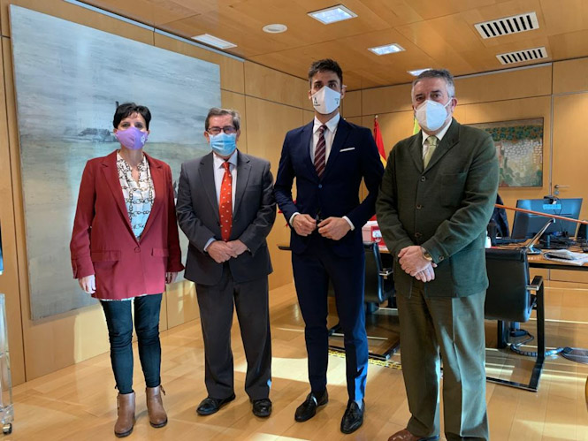 Imagen de la reunión (DIPUTACIÓN) 