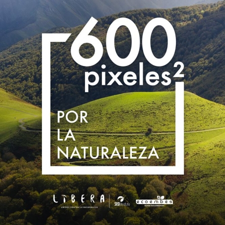 AYTO. ALMUÑÉCAR AYTO. ALMUÑÉCAR