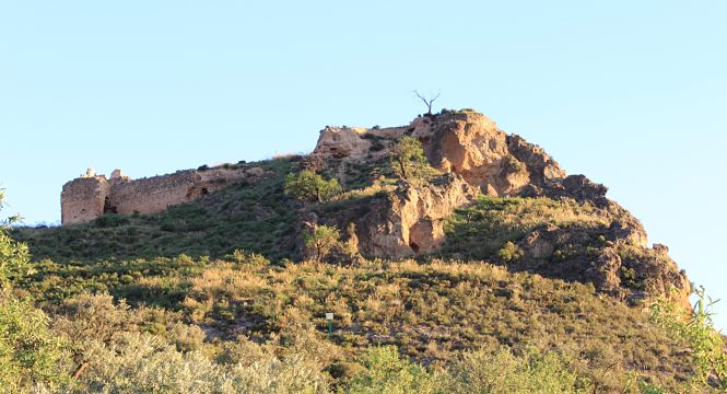 Vista del castillo (CEHVAL)